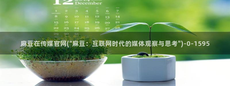 麻豆视频最新最新
