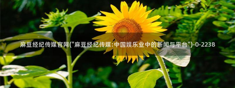 麻豆视频 更新最新：麻豆经纪传媒官网(\