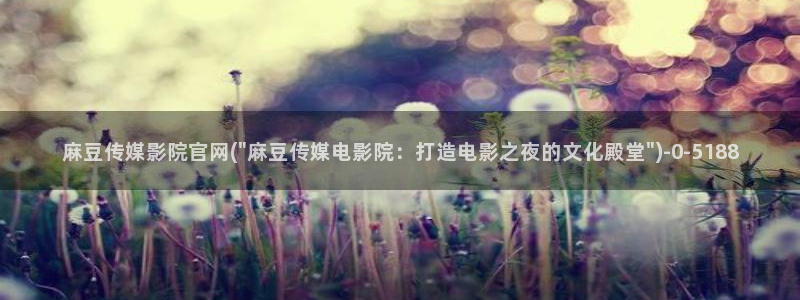 麻豆资源导航：麻豆传媒影院官网(\