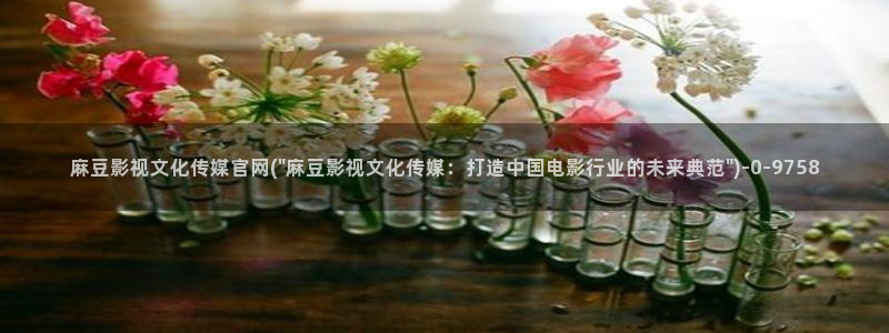 麻豆视频推荐入口：麻豆影视文化传媒官网(\
