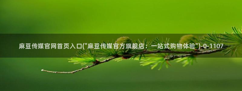 麻豆视频图集页面：麻豆传媒官网首页入口(\
