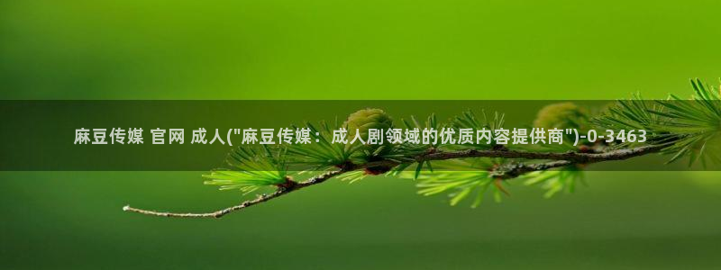 麻豆视频下载最新：麻豆传媒 官网 成人(\
