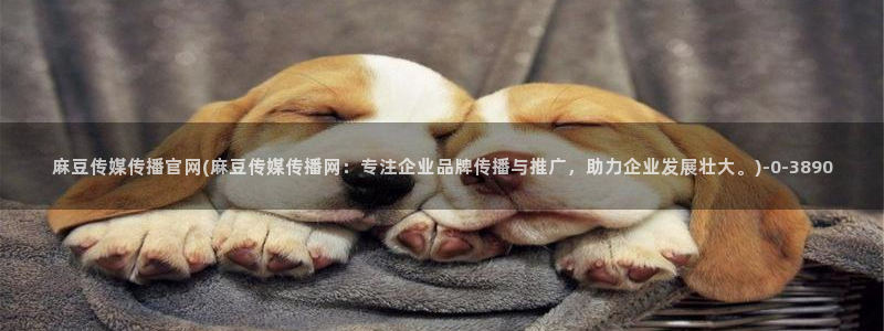 麻豆视频下载最新：麻豆传媒传播官网(麻豆传媒传播