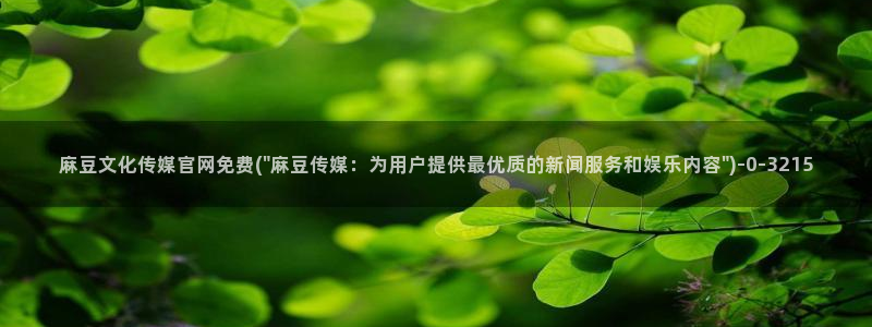 麻豆视频 合集：麻豆文化传媒官网免费(\