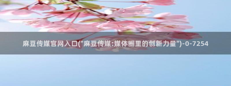 麻豆视频短片最新：麻豆传媒官网入口(\