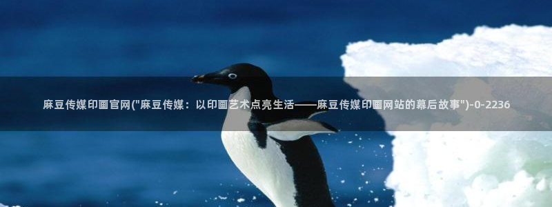 麻豆视频站整理：麻豆传媒印画官网(\