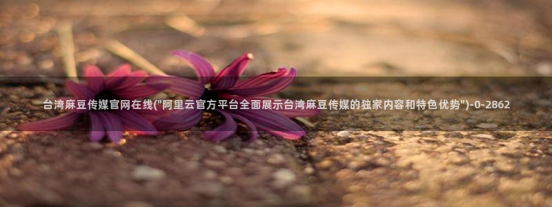 麻豆 合集整理：台湾麻豆传媒官网在线(\