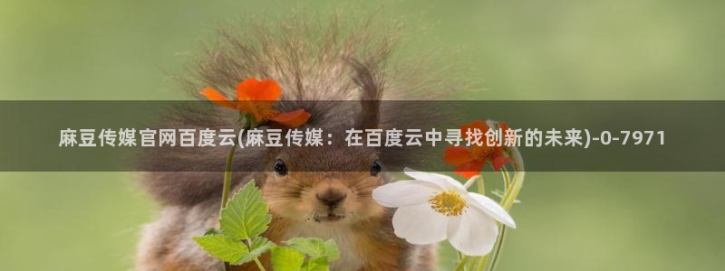 麻豆视频 完整版专区：麻豆传媒官网百度云(麻豆传媒：