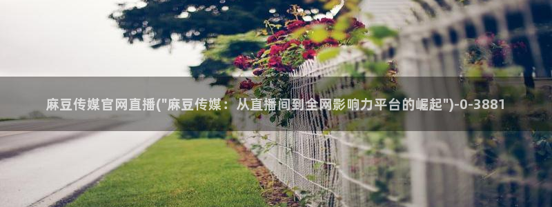 麻豆视频站在线看：麻豆传媒官网直播(\
