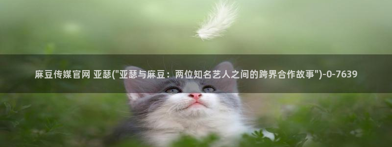 麻豆视频 合集导航：麻豆传媒官网 亚瑟(\