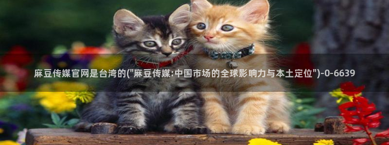麻豆视频热门推荐：麻豆传媒官网是台湾的(\