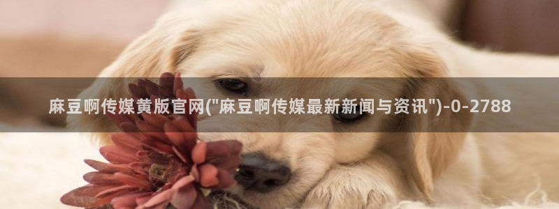 麻豆视频下载合集：麻豆啊传媒黄版官网(\