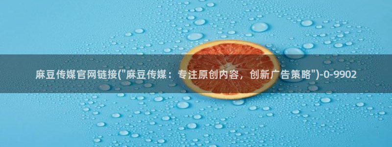 麻豆下载最新：麻豆传媒官网链接(\