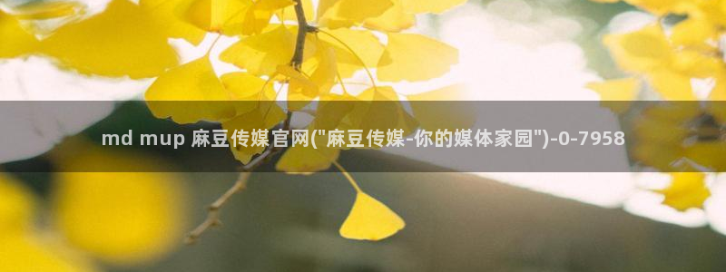 麻豆下载合集：md mup 麻豆传媒官网(\