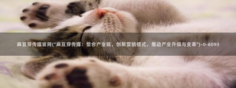 麻豆视频 更新资源