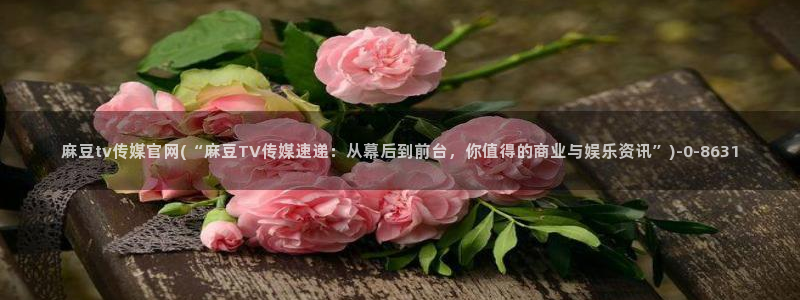 麻豆 资源入口