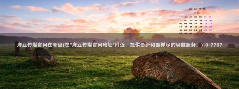 麻豆 更新合集
