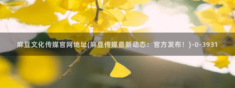 麻豆视频热门视频