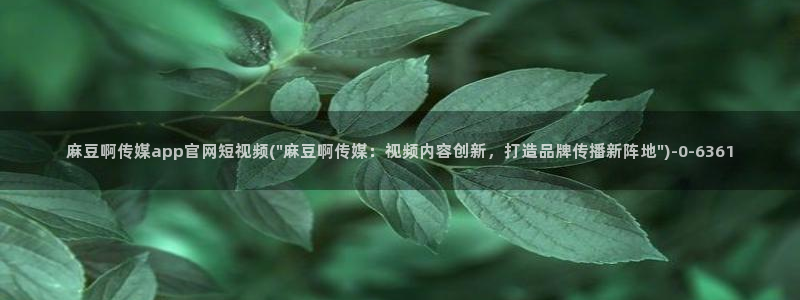 麻豆资源完整版