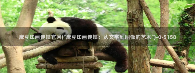 麻豆视频热门资源