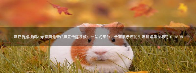 麻豆 更新合集