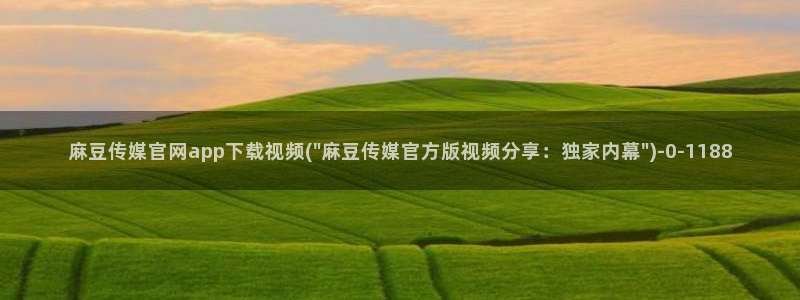 麻豆视频 官方下载
