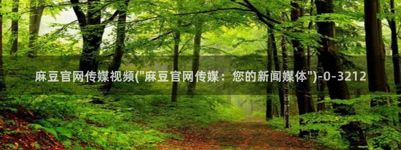 麻豆视频入口整理