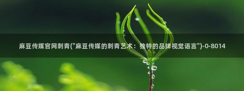 麻豆视频 最新下载
