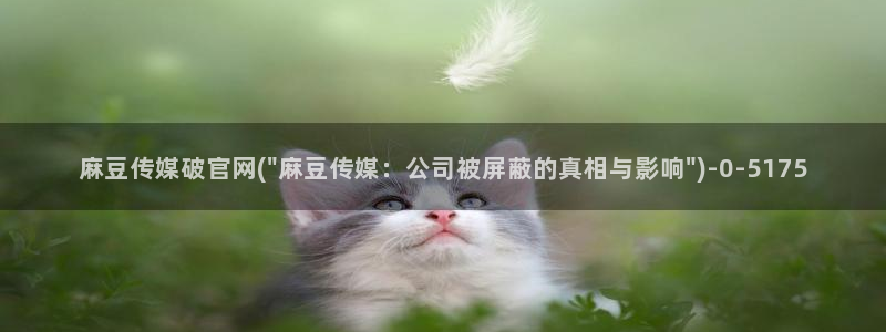 麻豆视频 最新下载