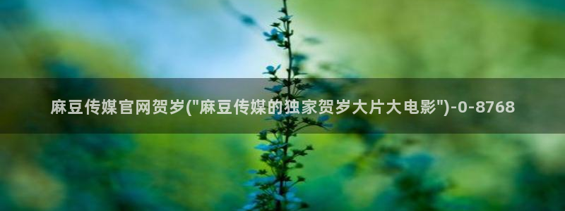 麻豆视频更新资源