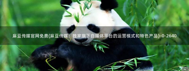 麻豆视频短片下载