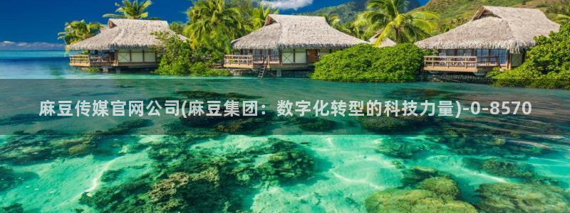 麻豆视频精选推荐：麻豆传媒官网公司(麻豆集团：数