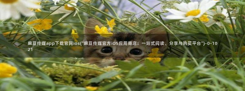 麻豆视频在线看整理